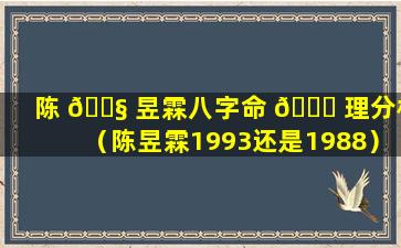 陈 🐧 昱霖八字命 🐘 理分析（陈昱霖1993还是1988）